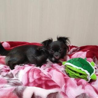 熊本市内の友達募集💕