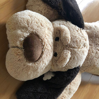 コストコの犬のぬいぐるみ