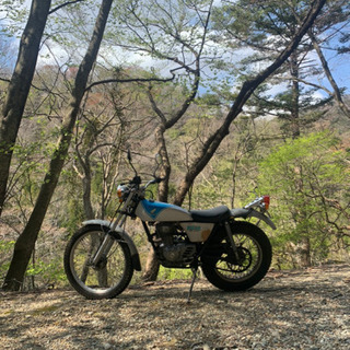 ホンダ　TL125 バイアルスの画像
