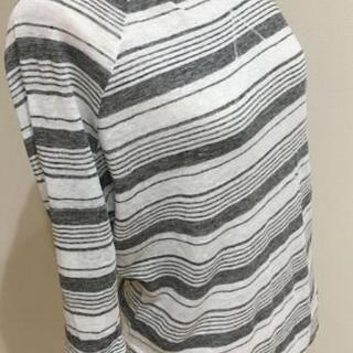 スコットクラブ系 カットソーの画像