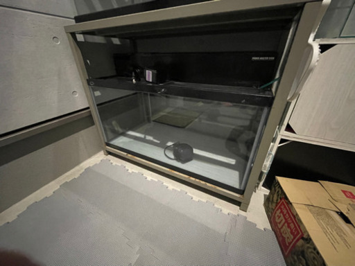 早い者勝　値下げ　90cm ガラス水槽