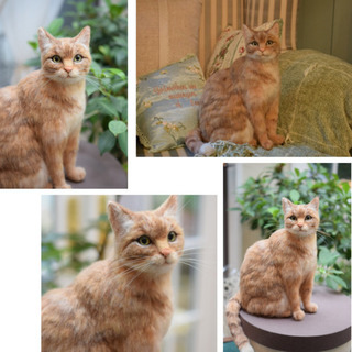 羊毛フェルト教室 (Atelier  Le  Ciel)長野県軽井沢町   リアルな愛犬＊愛猫を作りませんか❓の画像