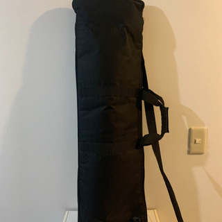 martin backpacker travel steel guitarの画像