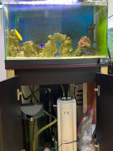 海水魚水槽一式