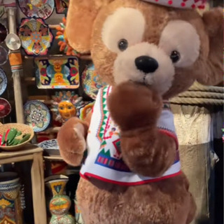 6/24ディズニーシーチケありぼっちインいますか？