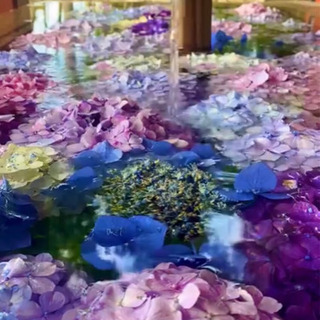 季節の花々をお裾分けいただけませんか？