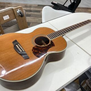 James エレアコギター J-500ANAT