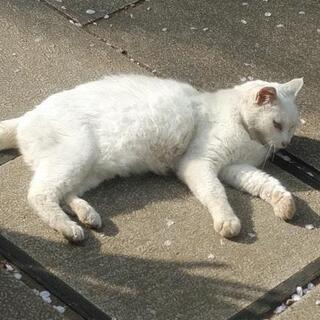 気軽にお話し友募集！