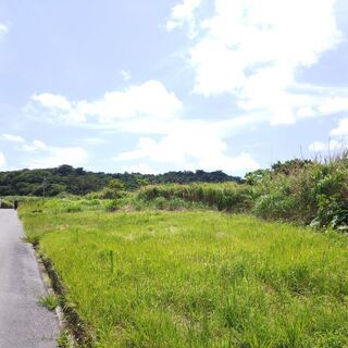 【南城市大里大城の賃貸土地】281坪、農地専用となります。南風原にも土地があり、こちらは用途相談可能です。お気軽にお問い合わせください - 南城市