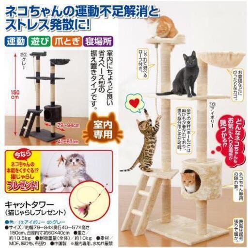 キャットタワー　東加古川駅近くまで、来られる方。