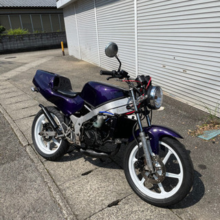 Ken様ご購入キャンディカラーオールペン仕立て極上車！NS-1ネ...