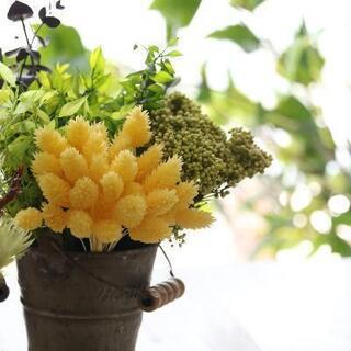 人気⭐癒しのフラワーインテリアハーバリウム作り体験🌸 - イベント