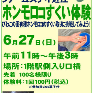 挑戦！ホンモロコすくいの画像