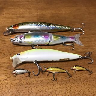 動物好きな方で釣りに興味がある方へ