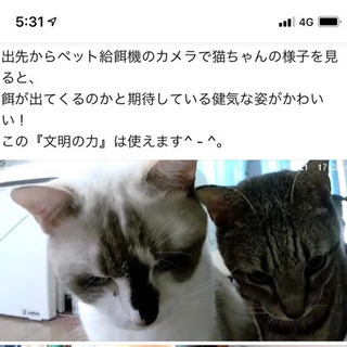 ペットの自動給餌器、(WI-FI環境での動作未確認)の画像