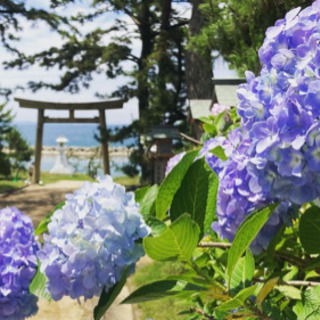 本日23時〆切　6/20(日)超ゆるポタリング行きませんか？ - 神戸市