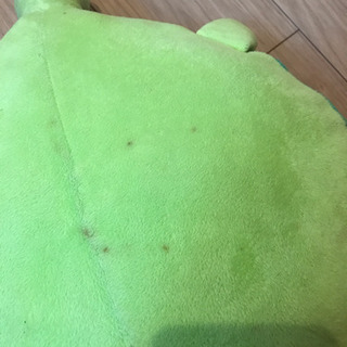 亀の親子の画像