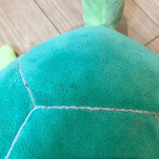 亀の親子の画像