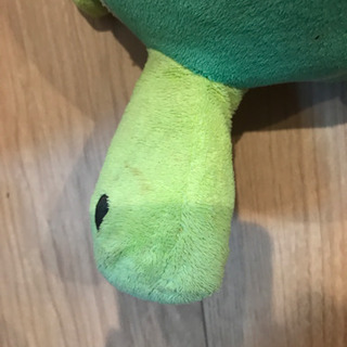 亀の親子の画像