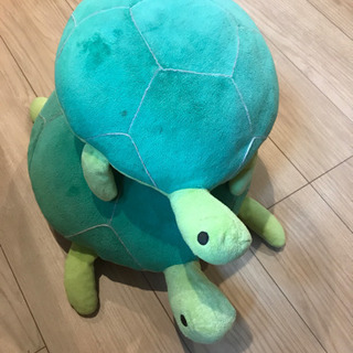 亀の親子の画像