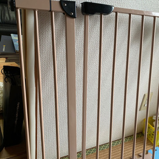 ベビーゲットの画像