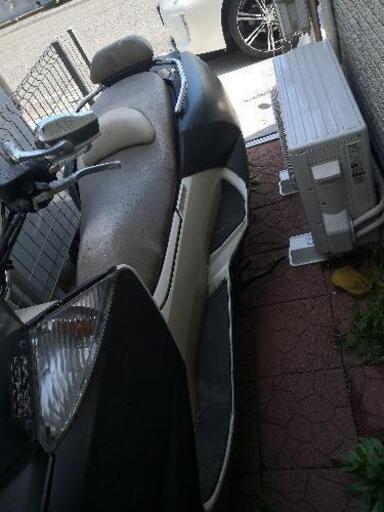 最終値下！不動マグザム！40000円→30000円