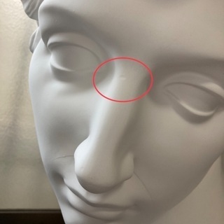 石膏像】 ジュリアーノ・メジチ胸像