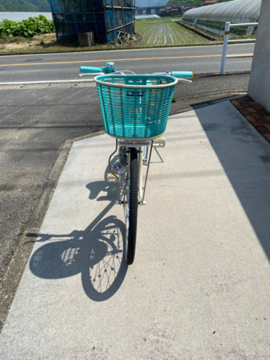 自転車　22インチ　ブリジストン　エコパル　ミント