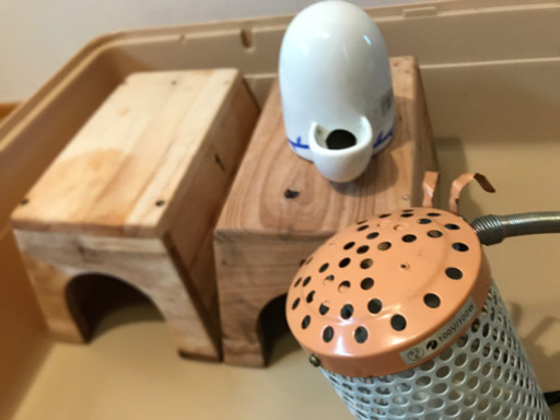 ハリネズミ用品まとめて