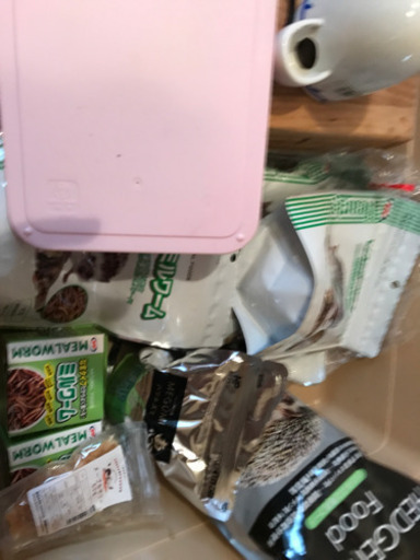 ハリネズミ用品まとめて