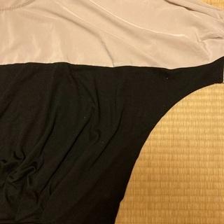 大きなブラウス？の画像