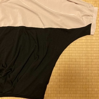 大きなブラウス？の画像