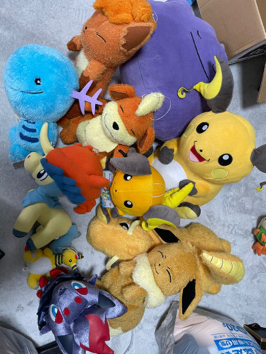 ポケモンぬいぐるみ