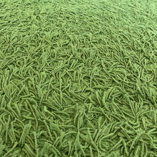 【受渡決定】カーペットの画像