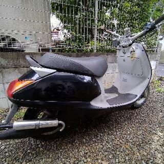 HONDA　リード５０　スクーター　原付　引取限定の画像