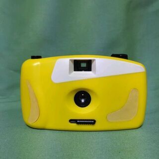 フイルムを入れて現像できちゃうカメラ