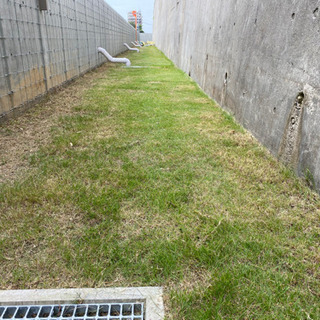 6/20半日急募2名