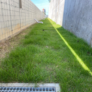 6/20半日急募2名の画像