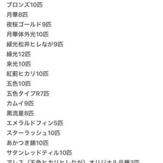 メダカ！稚魚 完全予約販売です❗