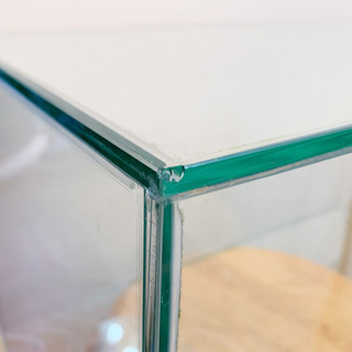 縦長55cm水槽の画像