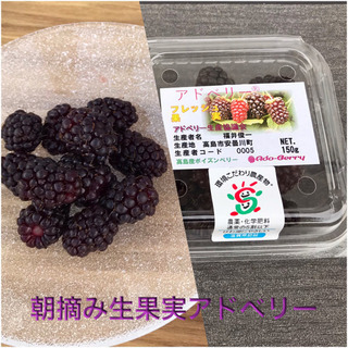 幻の果実　朝摘み生果実アドベリー販売です。