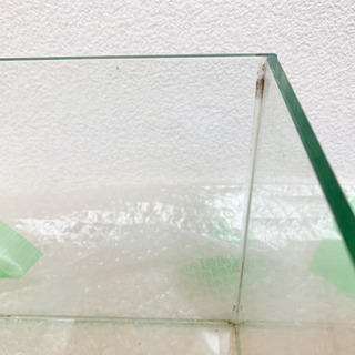 20cmキューブ水槽の画像