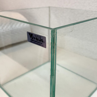 16cmキューブ水槽の画像