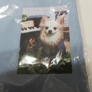 【新品未使用】Tシャツの画像