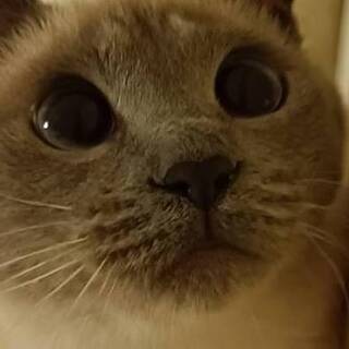 １歳の女のコ