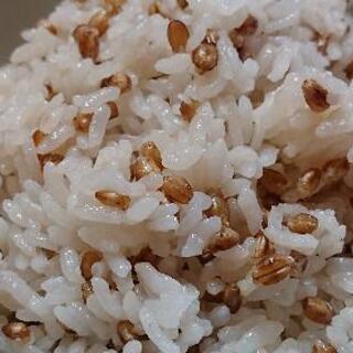 紫もち麦30kg(ダイシモチ)令和５年産　食べやすい８分精麦　今だけお値引き価格！！の画像