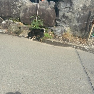 かくにん