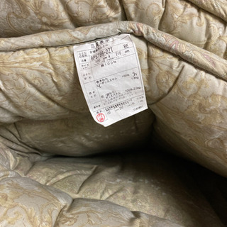 本日限定の画像