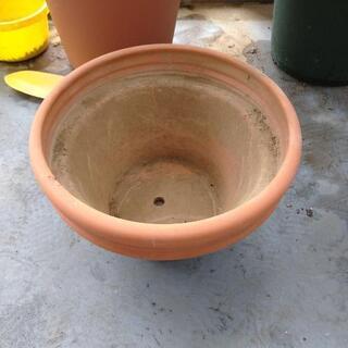 (募集中)植木鉢の画像