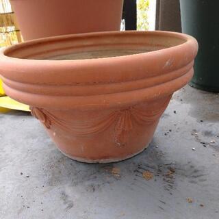(募集中)植木鉢の画像